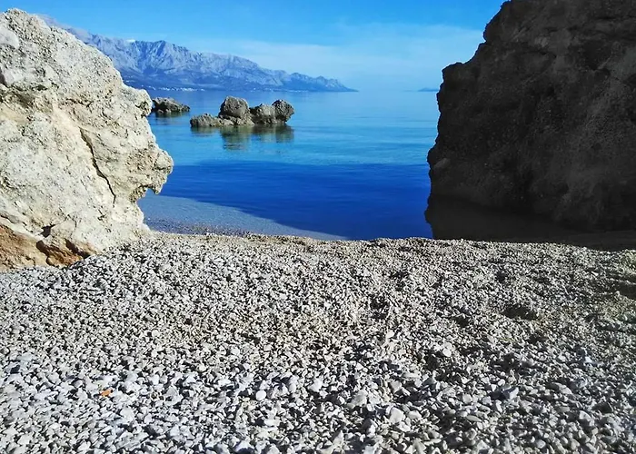 Ivancic מימיצה