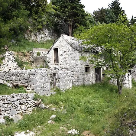 Ivancic Mimice