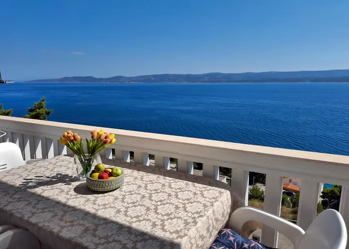 Ivancic Мимице